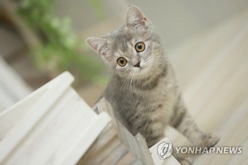 250516-image-01